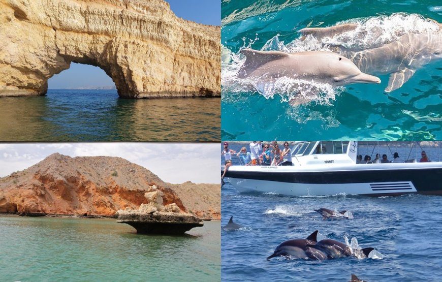 Dolphin Watching (Sharing) (10 am to 1 pm )