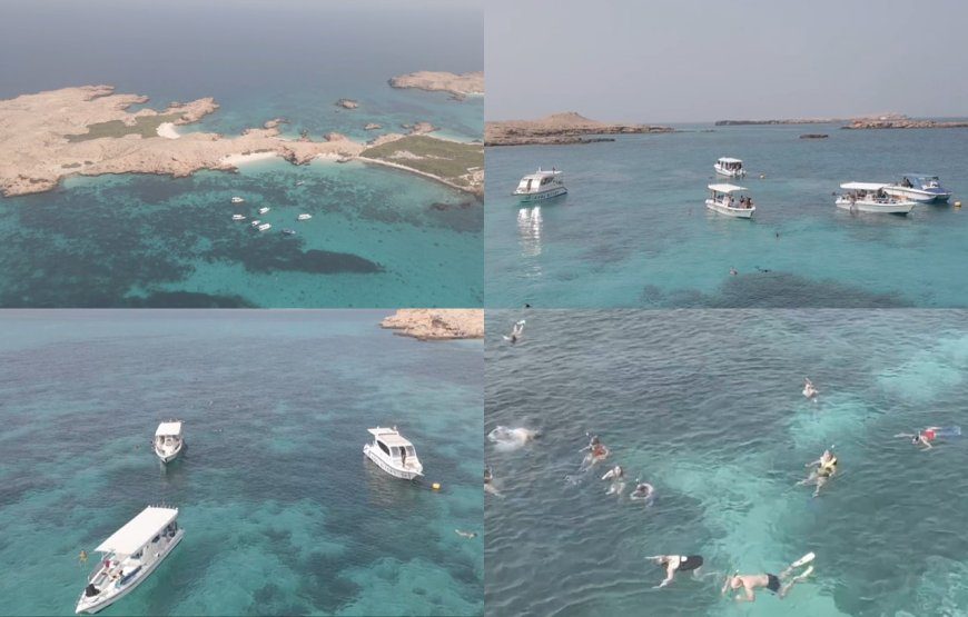 Snorkelling at Damaniyat Island (Sharing) (8:30 am to 1 pm)