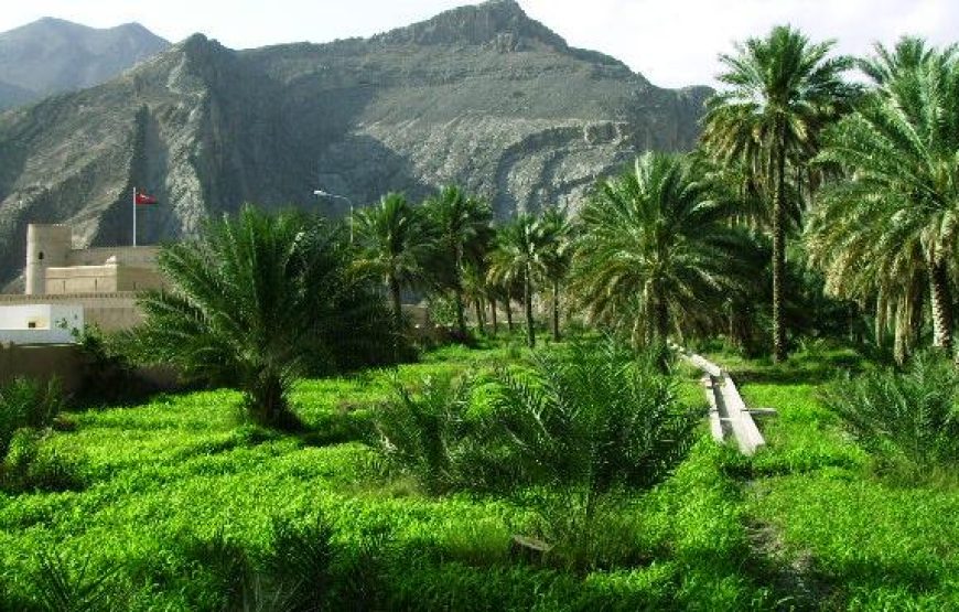 A Visit to Forts of Bahla-Jabreen, and overnight at Jabal Akhdar Mountain (Price for 3 or 4 persons)